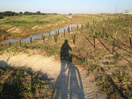 Cyclopark